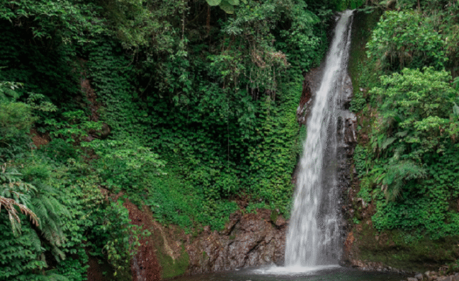 
 Air Terjun Singokromo (Pinterest)