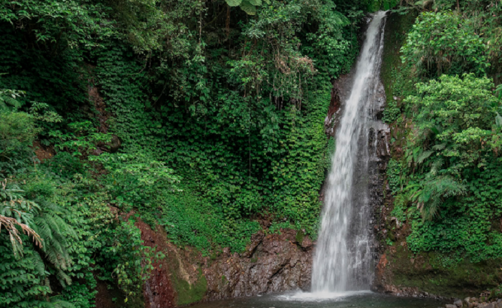 Air Terjun Singokromo, Pesona Alami Tersembunyi di Lereng Gunung Wilis
