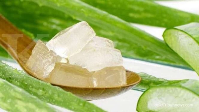 
 10 Bahan Alami yang Efektif Bantu Redakan Gejala Asam Lambung atau GERD