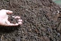 pupuk kandang dari kotoran domba