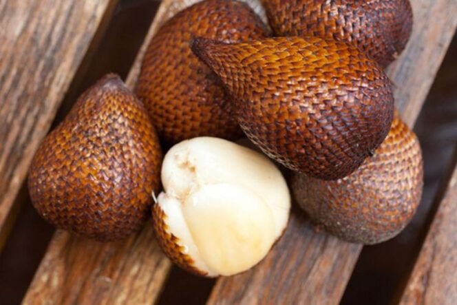 
 Rahasia Sehat Alami dari Indonesia: Kupas Tuntas Manfaat Buah Salak untuk Tubuhmu