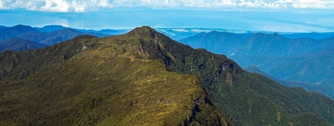 
 4,5 Jam Tembus Hutan Leuser: Ladang Ganja Raksasa Terungkap!