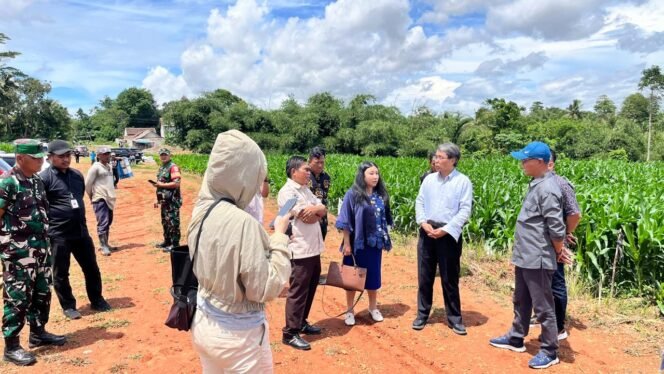 
 Sentuhan Emas Kapolres Serang: Kebun Jagung Kopo Jadi Inspirasi Delegasi Tiongkok!