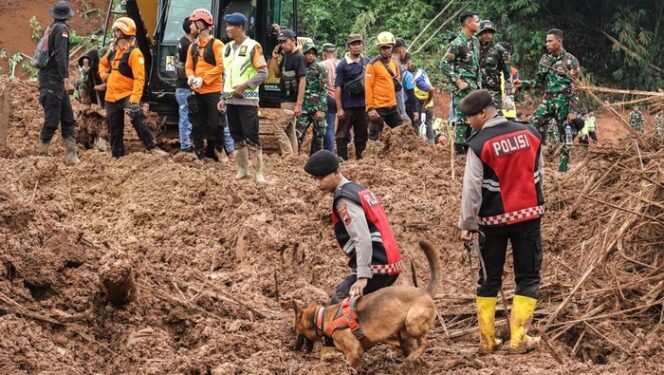 
 K-9 Jadi Pahlawan: 13 Korban Longsor Cibeunying Ditemukan, Pencarian 10 Lainnya Berlanjut
