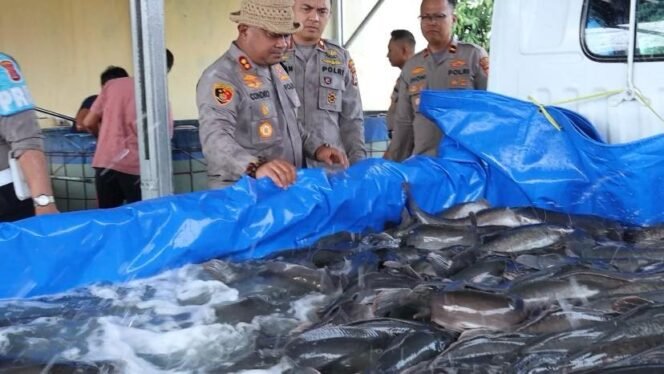 
 Kapolres Serang Tebarkan 500 Ekor Lele Jumbo di Danau Puspemkab – Bisa Dipancing, Tapi Jangan Pakai Jaring!