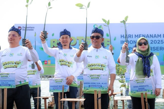 
 Perkuat Sabuk Hijau Pesisir, Gubernur Banten Ajak Masyarakat Rawat Mangrove