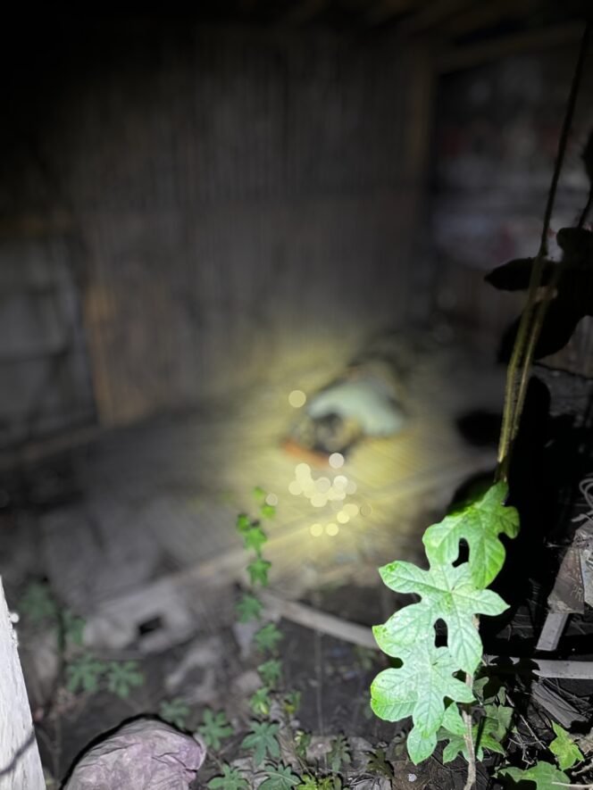 
 Mayat Laki-Laki Tanpa Identitas Ditemukan di Gubuk Kosong Serang