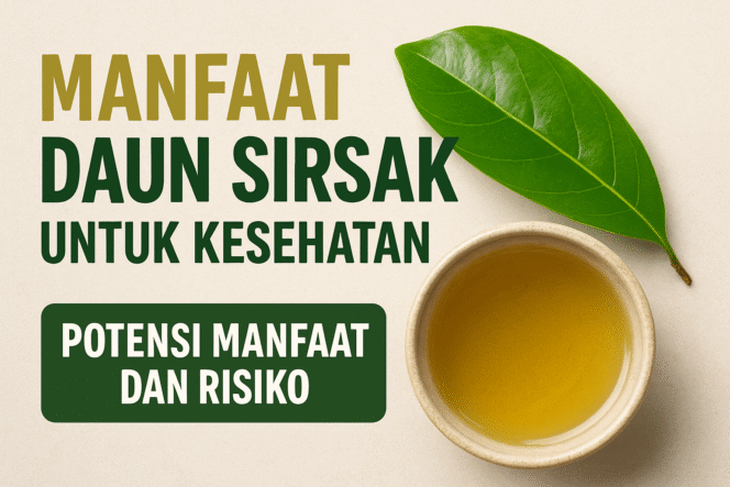 
 Manfaat Daun Sirsak untuk Kesehatan: Khasiat, Cara Konsumsi, dan Potensi Risikonya