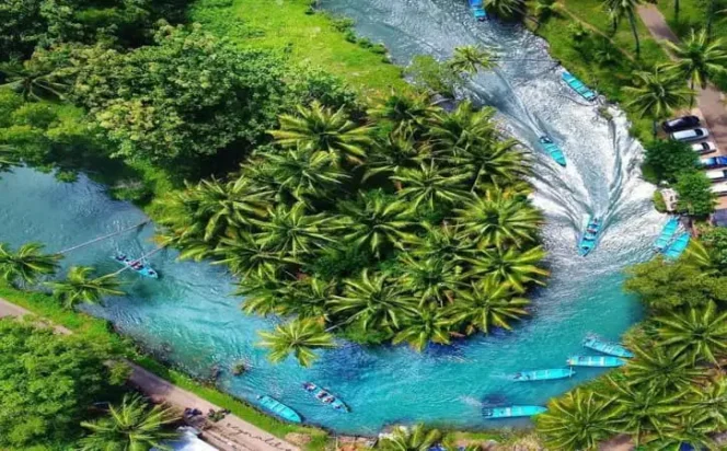 
 Kali Cokel Pacitan: “Amazon” di Jawa Timur yang Wajib Dikunjungi!