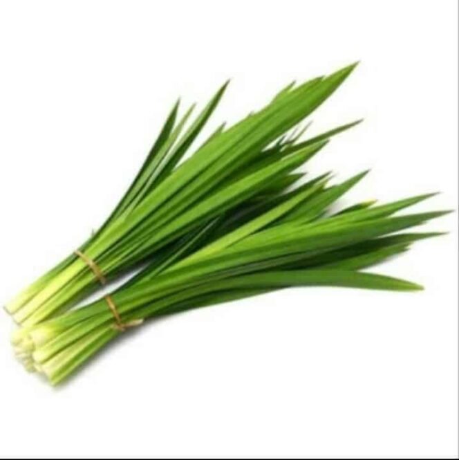 
 7 Manfaat Menakjubkan Daun Pandan untuk Kesehatan Tubuh