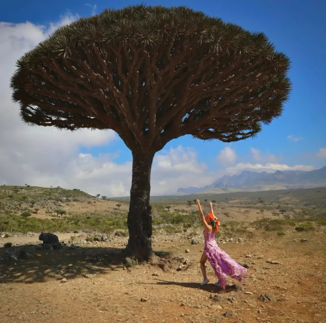 
 Wisata Ke Pulau Socotra, Surga Eksotis yang Menjadi Perjalanan Paling Aneh di Dunia