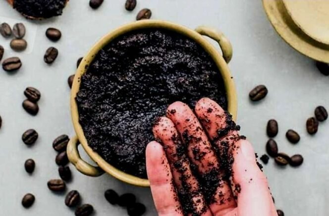 
 Ampas Kopi Jadi Pupuk Alami: Cara Kerja, Manfaat, dan Tips Aman untuk Tanaman di Rumah