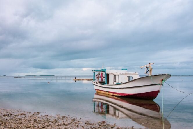 
 Enam WNI Ditangkap di Perairan Singapura Usai Masuk Ilegal Gunakan Perahu Kayu