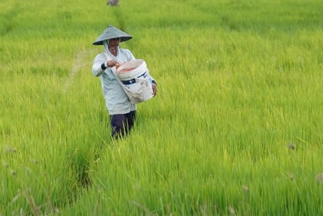 
 Menguak Ilusi Statistik: Hidup Petani di Indonesia