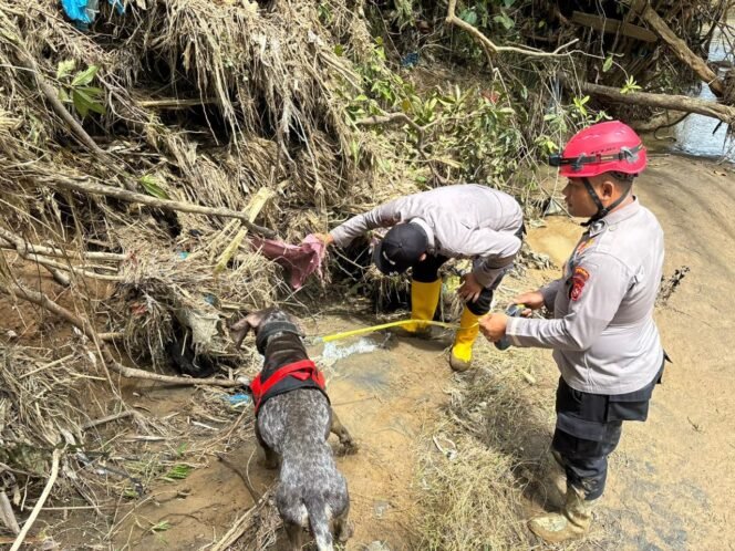 
 Korsabhara Baharkam Polri Kerahkan Tim SAR dan Unit K-9 untuk Percepatan Pencarian Korban di Sumatera Barat