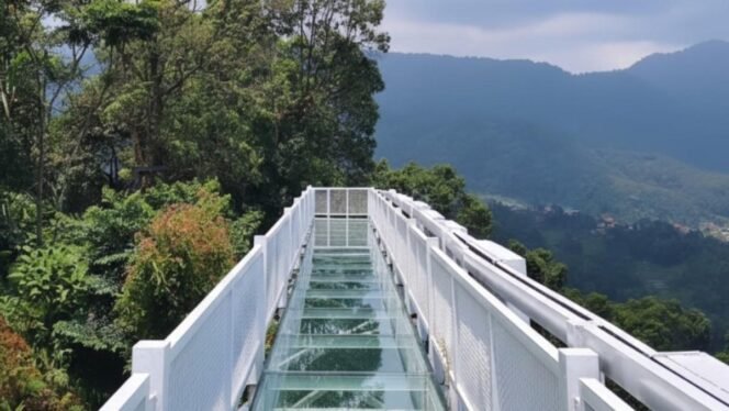 
 Bukit Manik Pamijahan Bogor Jadi Incaran Wisatawan, Jembatan Kaca Viral Tarik Ribuan Pengunjung