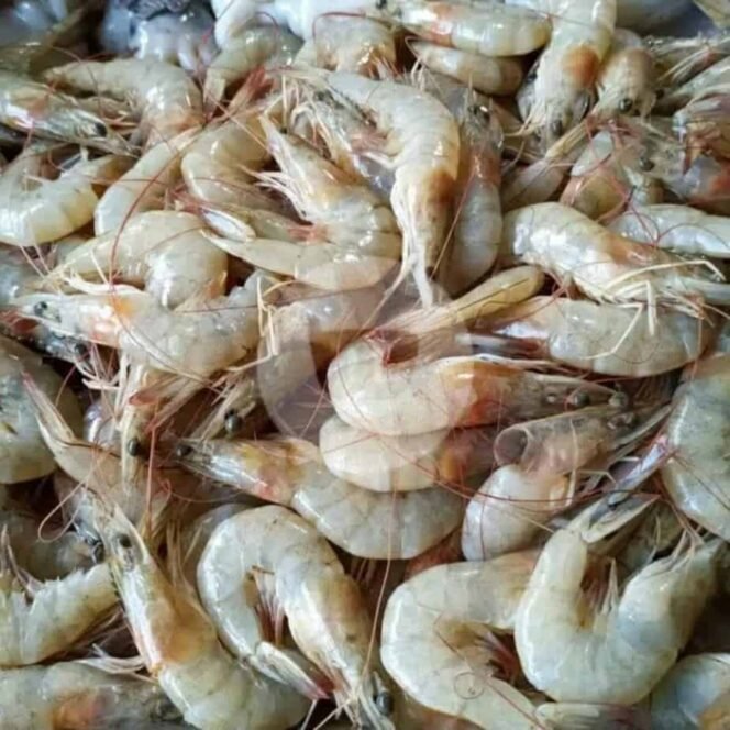 
 Wajib Tahu, Ini Bagian Udang yang Aman Dimakan dan Sebaiknya Dihindari