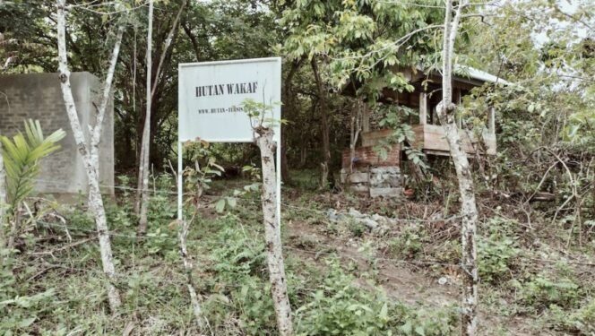 
 Wakaf Hutan Sebagai Alternatif Konservasi, Kritik Terhadap Ajakan Patungan Beli Hutan