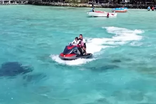 
 Liburan Seru ke Pulau Dolphin: Paket Open Trip dari Pulau Harapan di Kepulauan Seribu