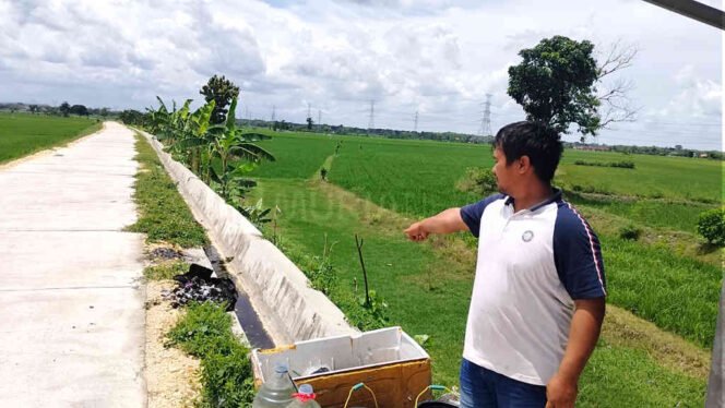 
 Petani Ngembak Grobogan Terpaksa Jual Sawah Akibat Limbah TPA