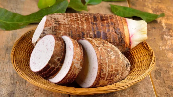 
 Sayuran Akar Nusantara yang Terlupakan, Kaya Gizi dan Penguat Cita Rasa Masakan